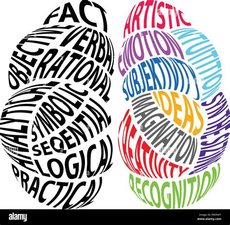 Left brain and right brain illustration Stock Vector Image & Art - Alamy