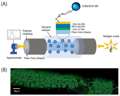 Nanomaterials Free Full Text Quantum Dot Induced Blue Shift Of