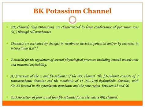 Potassium (K+) channels