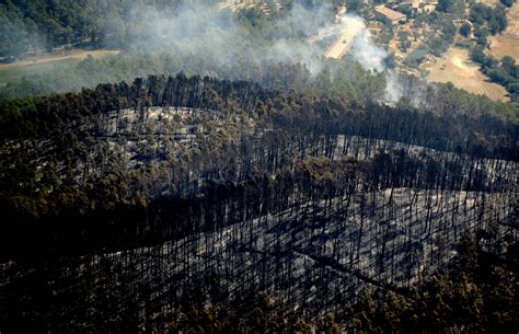 As Estan Los Bosques Calcinados Del Empord A Os Despu S Del Gran