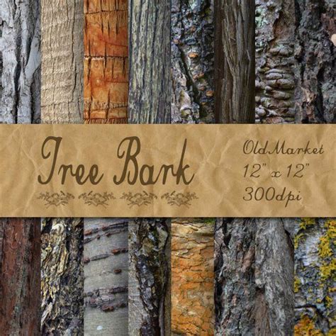 Tree Bark Digital Paper Wood Textures Wood Backgrounds 16 Designs 12in X 12in Commercial Use