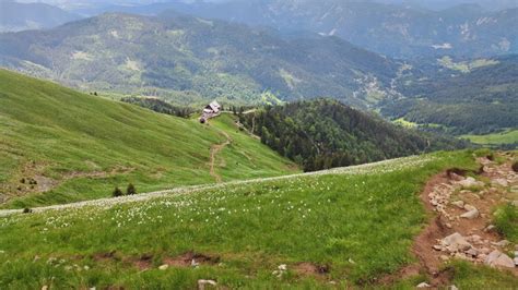 Planinski Pohod MO Na GOLICO PD Radovljica