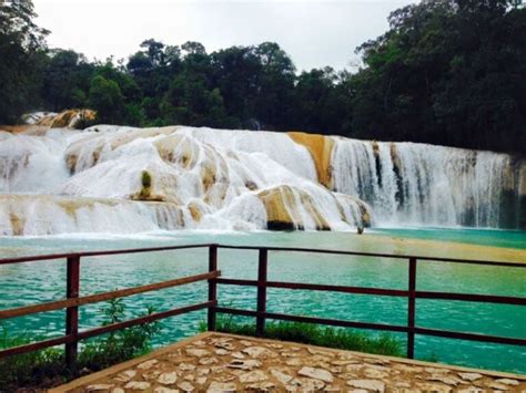 Cascadas De Agua Azul Chiapas Gu A Total Para Visitarlas