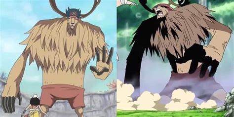 One Piece: Chopper's Transformations, Explained