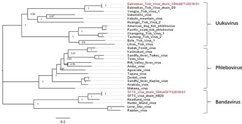 Identification Of Recently Identified Tick Borne Viruses Dabieshan