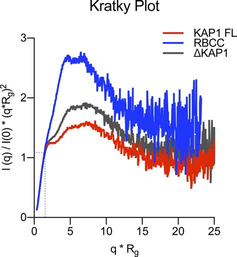 kap   antiparallel dimer   functional asymmetry life
