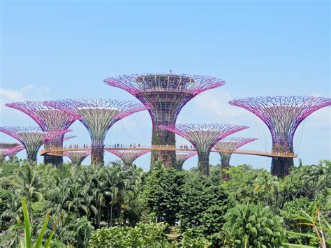 Layover in Singapore – One Week Trips