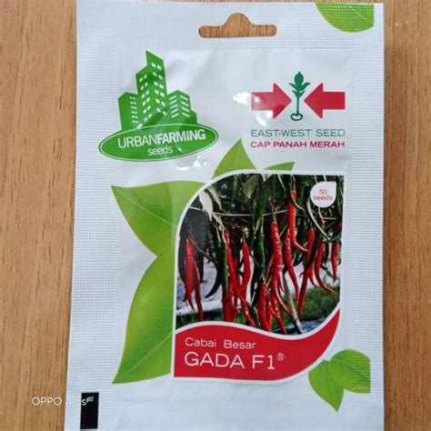 BENIH CABE CABAI BESAR CAP PANAH MERAH SACHET GADA F1 Lazada Indonesia