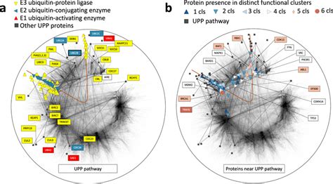 Latent Geometric Localization Of The Ubiquitin Proteasome Pathway Upp