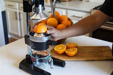 Best Citrus Juicer 2024 Review Marie Selinda