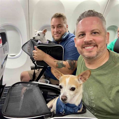 About - Expat In Paradise