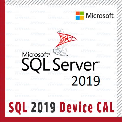 마이크로소프트 359 06865 Sql 2019 Device Cal 기업용라이선스