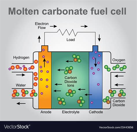 Molten Carbonate Fuel Cells Process Royalty Free Vector