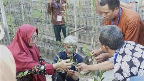 Tingkatkan Kemampuan Dan Keterampilan Petani Dan Penyuluh Jeruk