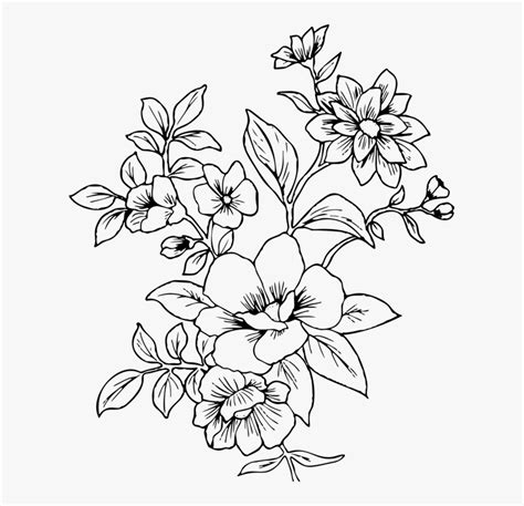 View 22 Flowers Drawing Png Transparent - bitrefwasuef