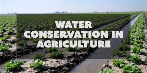 Water Conservation In Agriculture