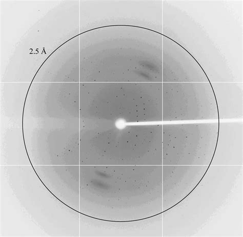 Iucr Purification Crystallization And Preliminary X Ray Diffraction