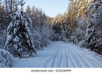 Country Road Snowcovered Forest Taiga On Stock Photo 2231230999 ...