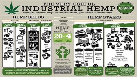 Cannabis Legal Updates Legalization Of Industrial Hemp Passes Senate