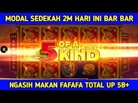 Modal Sedekah M Hari Ini Ngasih Makan Fafafa Total Up B Info