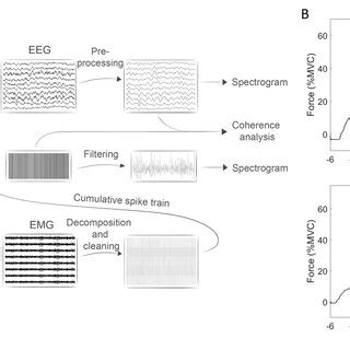 Schematic Representation Of The Experimental Protocol A Eeg And Emg