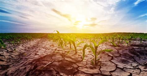 importance  dry land  amy barnes blog