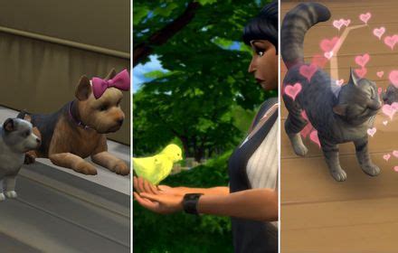 Los Sims 4 Guía completa de todos los peces 2025