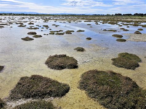 Te Waihoralake Ellesmere Canterbury New Zealand Te Waihor Flickr