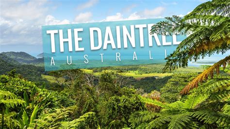 DAINTREE RAINFOREST North Queensland 4K Australian Travel Guide