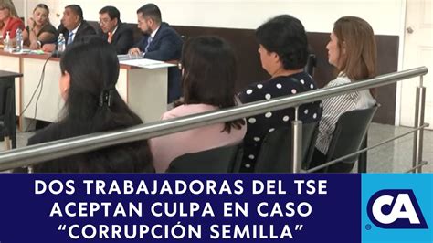 Ligan A Proceso A 4 Trabajadoras Del Tse En Caso Corrupción Semilla