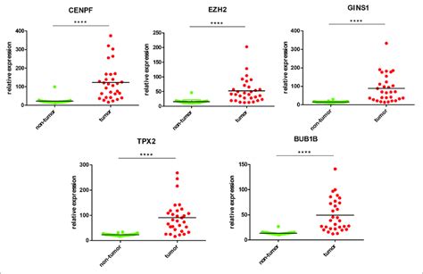 Validation Of Five Hub Genes By QPCR HCC Sample Red And Their