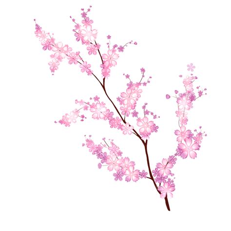 Las Flores De Cerezo Rosa Png Sakura Flores De Cerezo Flores Png Y