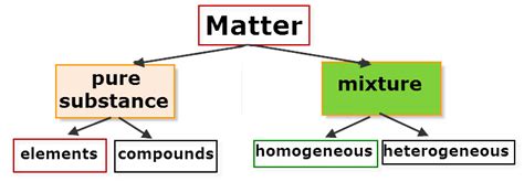 Chapter 2 You Matter Ms Millers Science