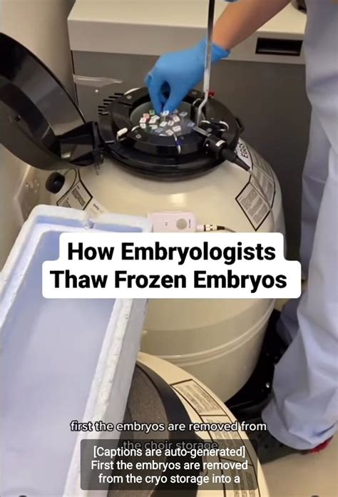 How Embryologists Thaw Frozen Embryos Ivf Transfer Embryo Transfer