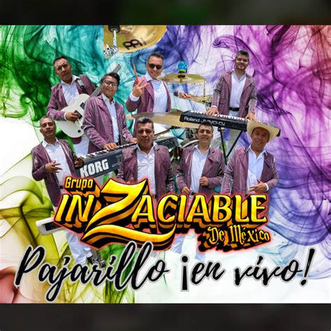 Pajarillo En Vivo song and lyrics by Grupo Inzaciable de México