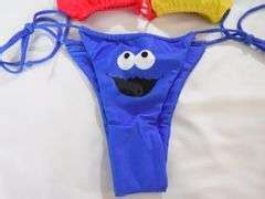 Sesame Street Womens Triangle Bikini Size L Dutch Goat
