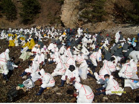 경상북도 농업기술원 태안 기름유출 피해복구 봉사활동 나서 환경법률신문