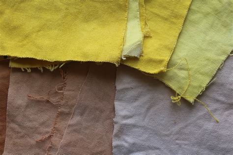 Make: Turmeric Dyed Fabric — Madison Moore