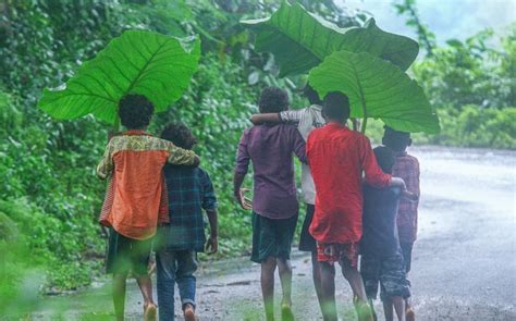 Heavy Rainfall Imd Issues Orange Alert In Pathanamthitta Idukki And