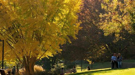 Why Leaves Change Color in Fall | UC Davis Arboretum and Public Garden