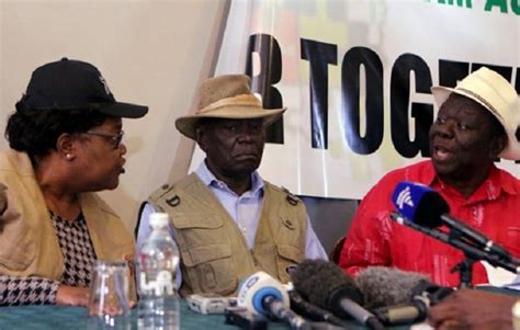 Why The Zimbabwe Opposition Parties Coalition Might Fail The Insider