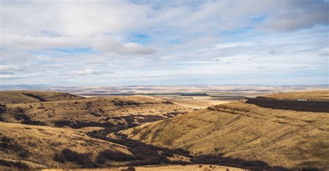 A Prairie Landscape · Free Stock Photo