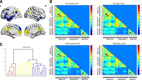 Default Mode Network Subsystems Panel A Shows Spatial Distributions Of Download Scientific