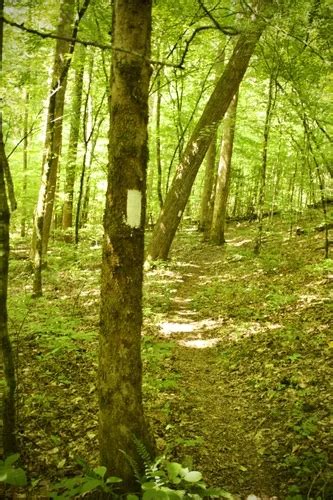 Best Hikes And Trails In Whites Creek Small Wild Area Alltrails