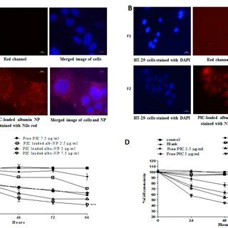 Cellular Uptake And In Vitro Cytotoxicity Of Pic Loaded Nanoparticle