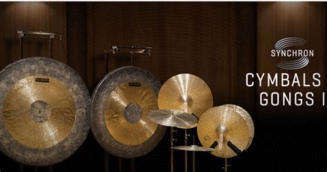 Vienna Symphonic Library Synchron Cymbals Gongs I VSLSYY03F