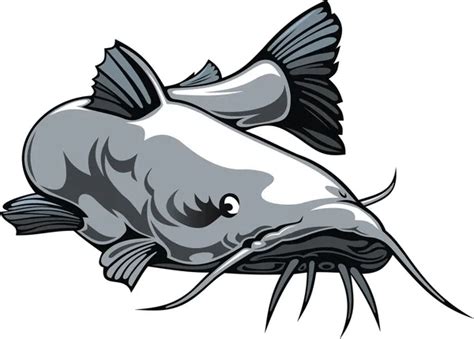 Catfish Stock Vectors Royalty Free Catfish Illustrations Depositphotos