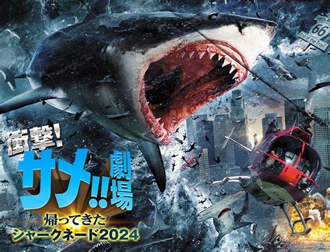 2024gwを喰い尽くす！カルト的人気を誇るサメパニック映画 「シャークネード」6作一挙放送！ 427（土）～429（月）bs12 トゥエルビ