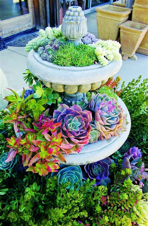 50 Best Succulent Garden Ideas For 2017