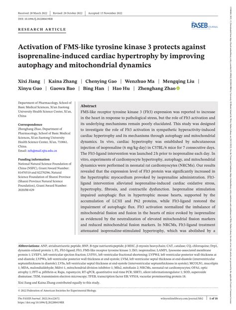 Pdf Activation Of Fms Like Tyrosine Kinase Protects Against